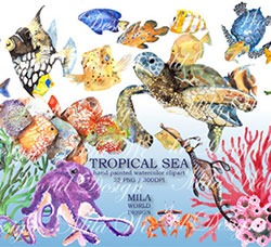 25张高清背景透明的北欧风热带海洋生物PNG图片：Tropical Sea Watercolor Clip Art